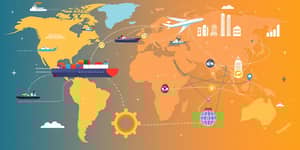 Beyond Borders: The Interconnectedness of National Economies