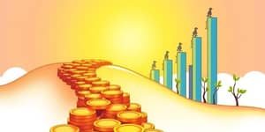 The Wealth Accumulator: Strategies for Long-Term Growth