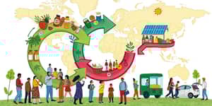 From Linear to Circular: Rethinking Global Consumption Patterns